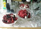 DSCN1381